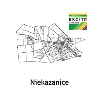 Niekazanice