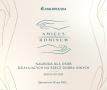 banner_amicus_bannery__940x788