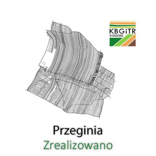 Przeginia